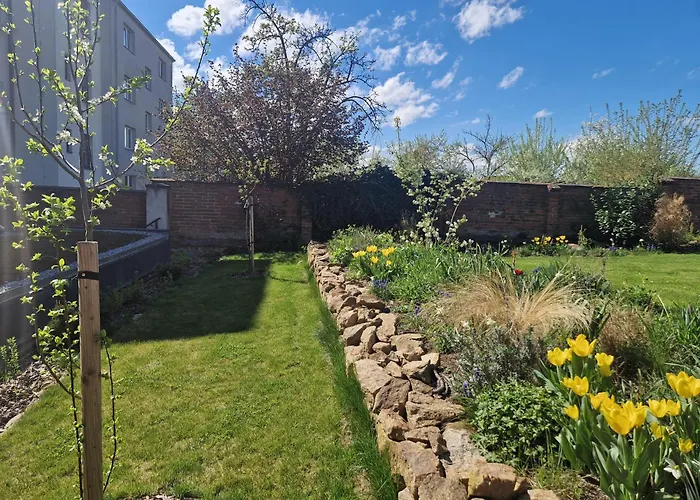 Original With Garden In Apartamento
